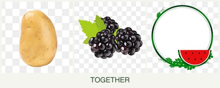 Can you plant potatoes, blackberries and watermelons together?
