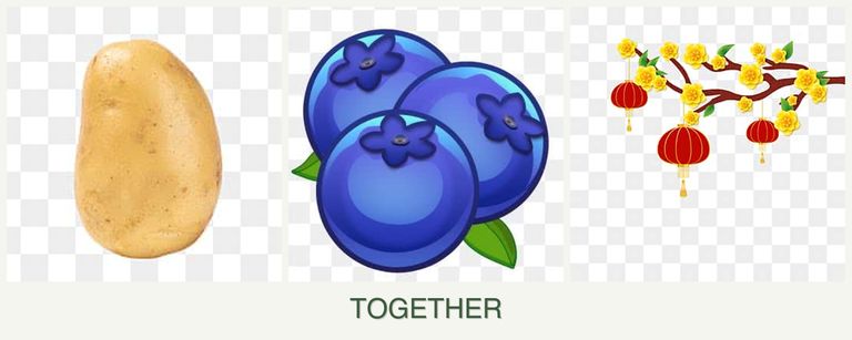 Can you plant potatoes, blueberries and apricots together?