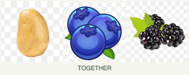 Can you plant potatoes, blueberries and blackberries together?