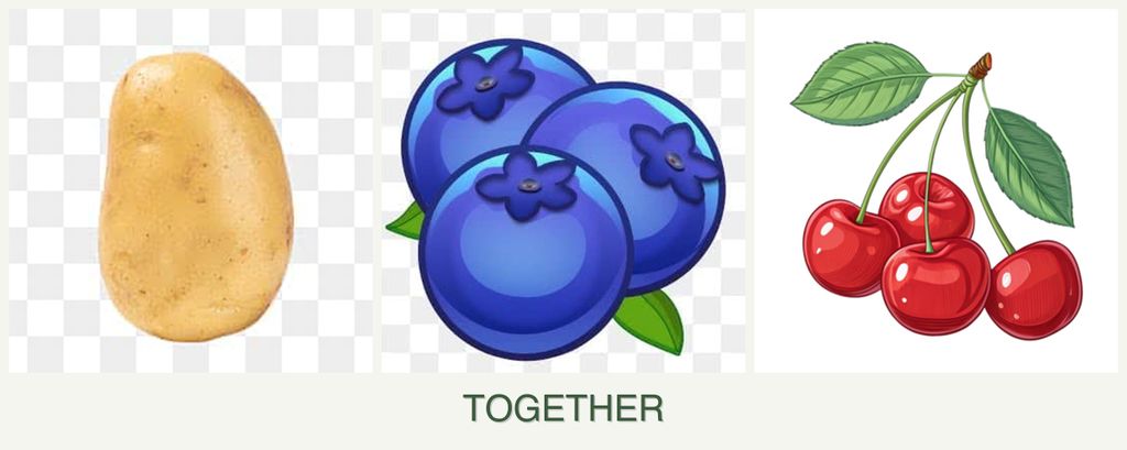 Can you plant potatoes, blueberries and cherries together?