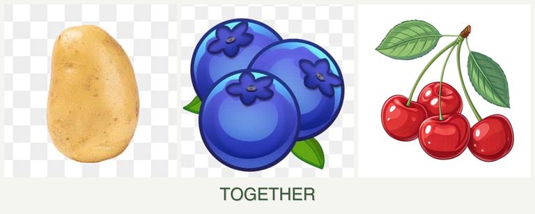 Can you plant potatoes, blueberries and cherries together?