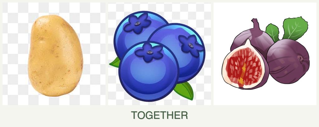 Can you plant potatoes, blueberries and figs together?