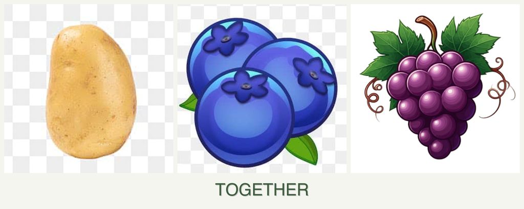 Can you plant potatoes, blueberries and grapes together?