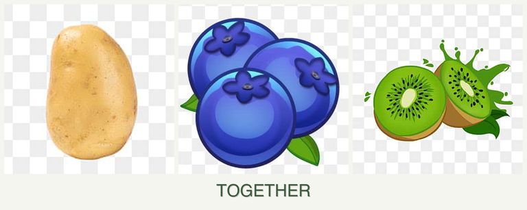 Can you plant potatoes, blueberries and kiwi together?