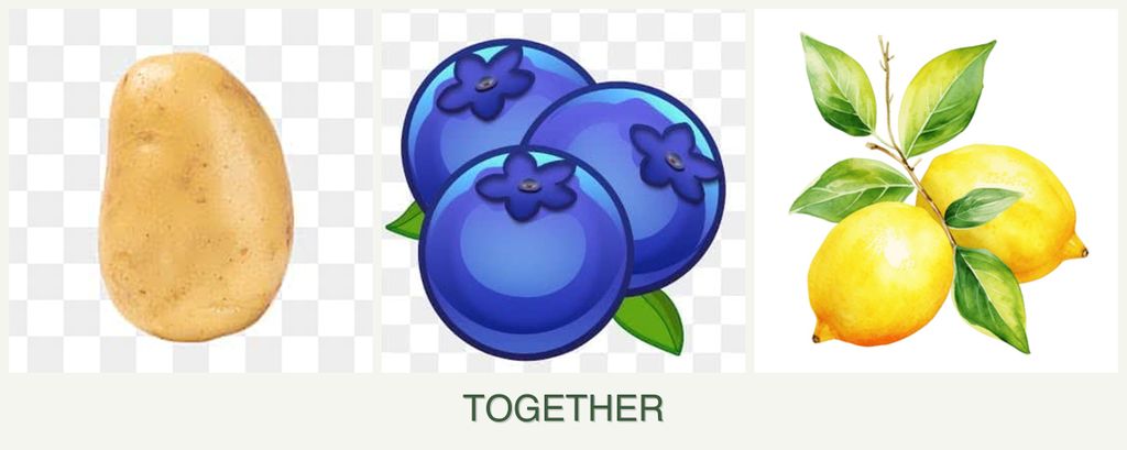 Can you plant potatoes, blueberries and lemons together?