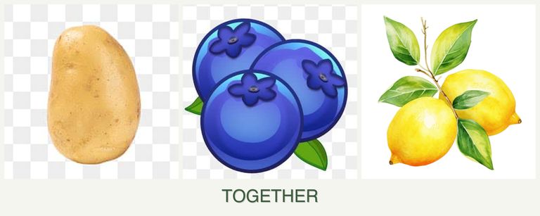 Can you plant potatoes, blueberries and lemons together?