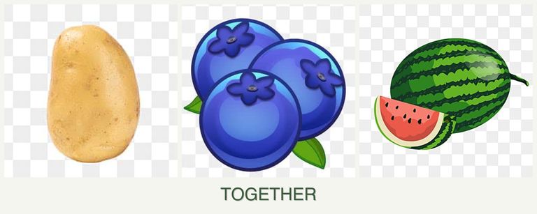 Can you plant potatoes, blueberries and melons together?