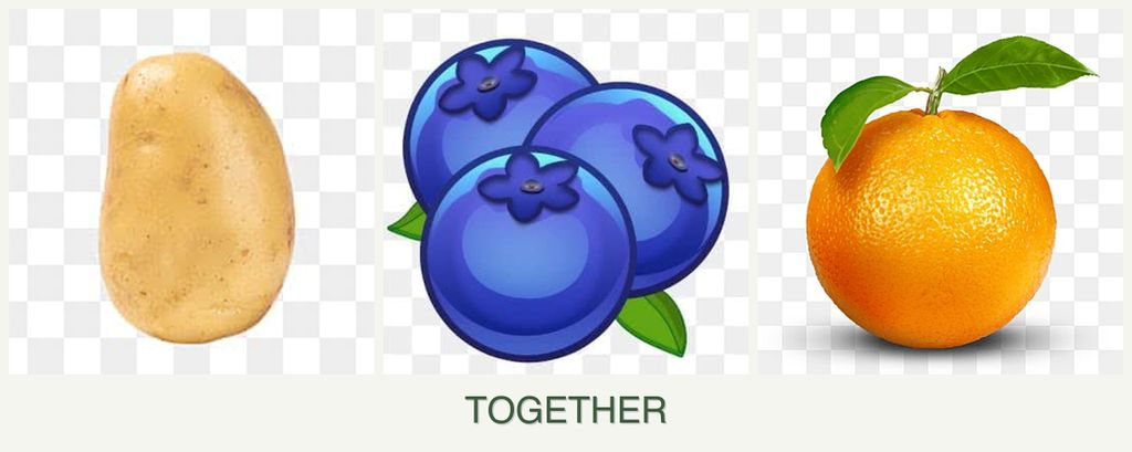 Can you plant potatoes, blueberries and oranges together?
