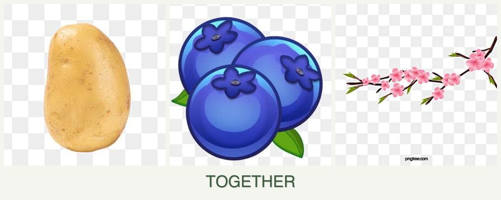 Can you plant potatoes, blueberries and peaches together?