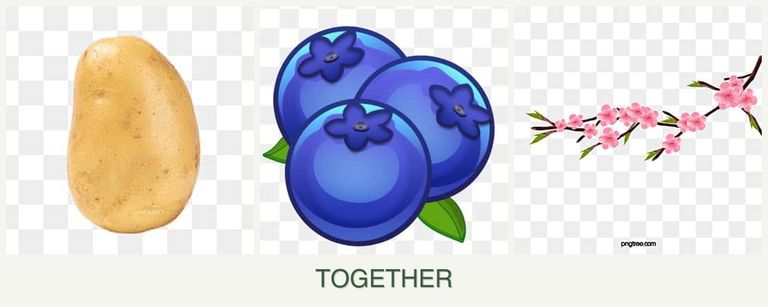 Can you plant potatoes, blueberries and peaches together?