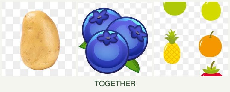 Can you plant potatoes, blueberries and pears together?