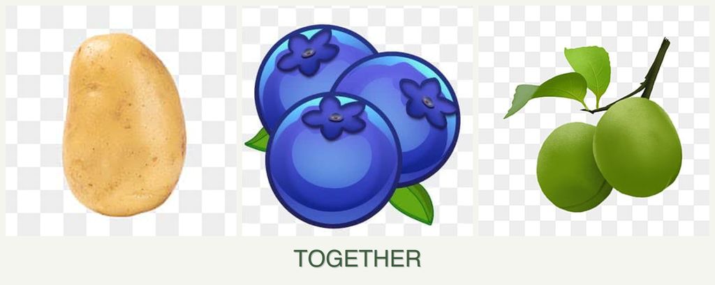 Can you plant potatoes, blueberries and plums together?