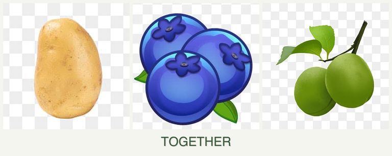 Can you plant potatoes, blueberries and plums together?