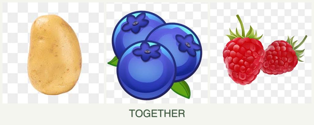 Can you plant potatoes, blueberries and raspberries together?