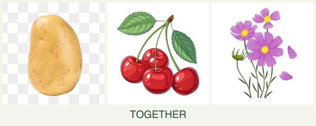 Can you plant potatoes, cherries and cosmos together?