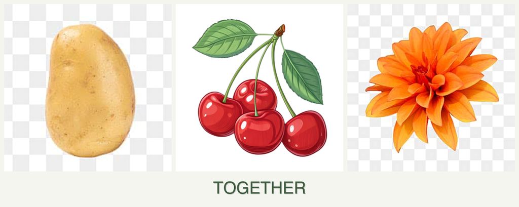Can you plant potatoes, cherries and dahlias together?