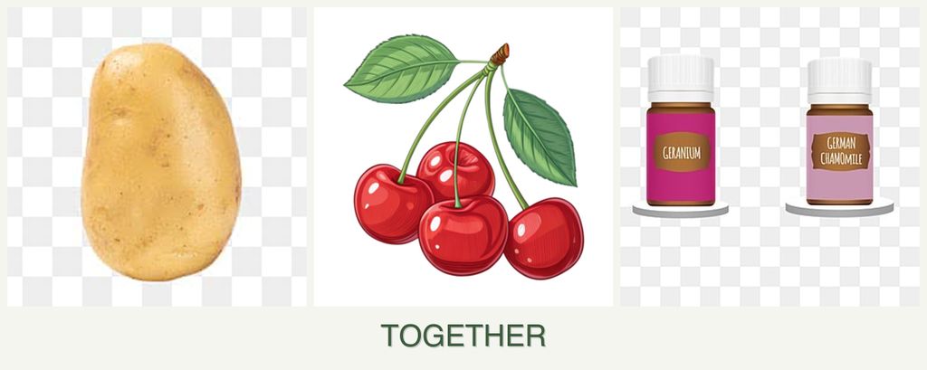 Can you plant potatoes, cherries and geraniums together?