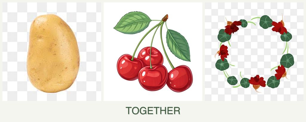 Can you plant potatoes, cherries and nasturtiums together?