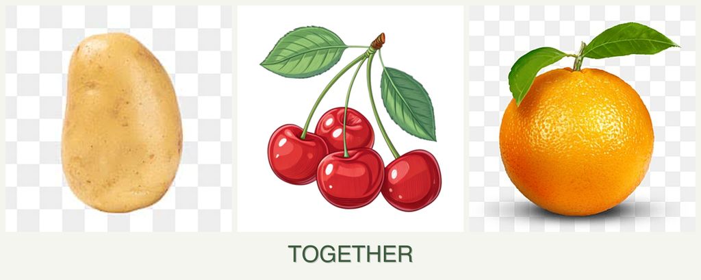 Can you plant potatoes, cherries and oranges together?