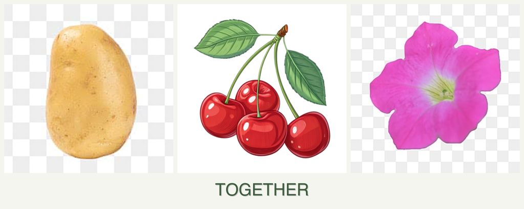 Can you plant potatoes, cherries and petunias together?