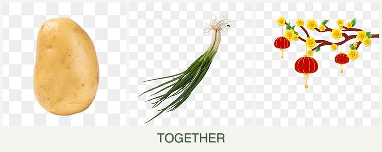 Can you plant potatoes, chives and apricots together?