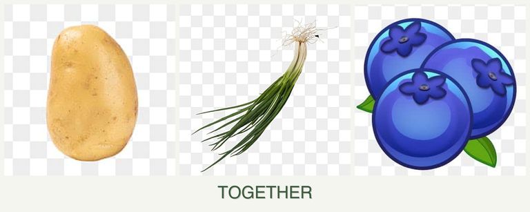 Can you plant potatoes, chives and blueberries together?