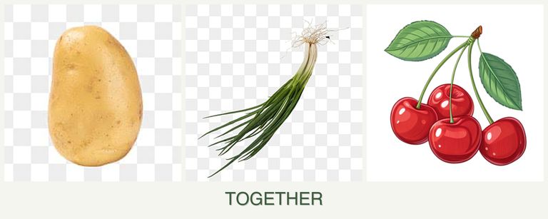 Can you plant potatoes, chives and cherries together?