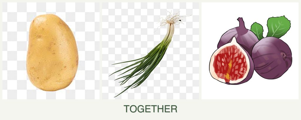 Can you plant potatoes, chives and figs together?