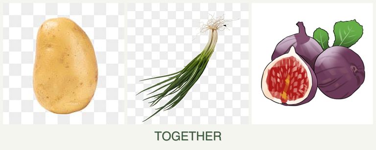Can you plant potatoes, chives and figs together?