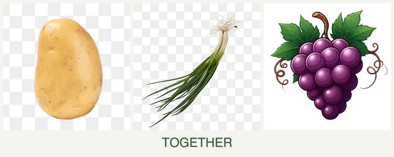 Can you plant potatoes, chives and grapes together?