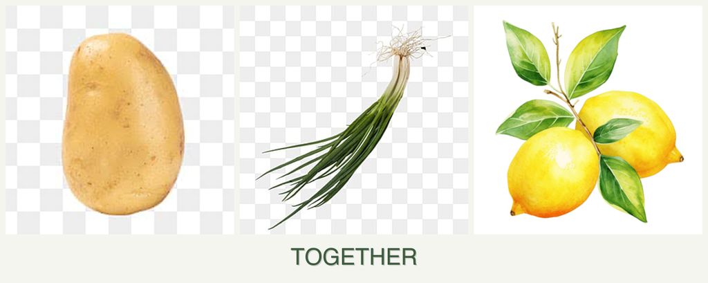 Can you plant potatoes, chives and lemons together?