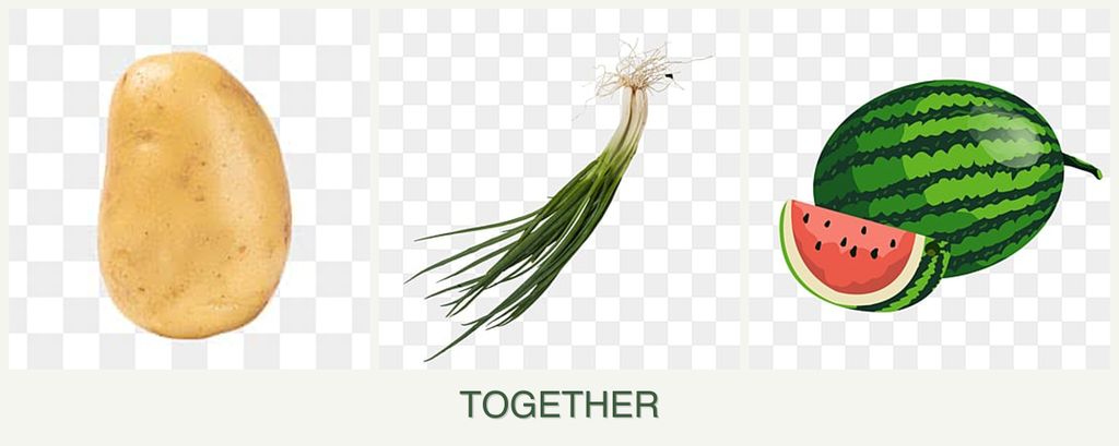 Can you plant potatoes, chives and melons together?