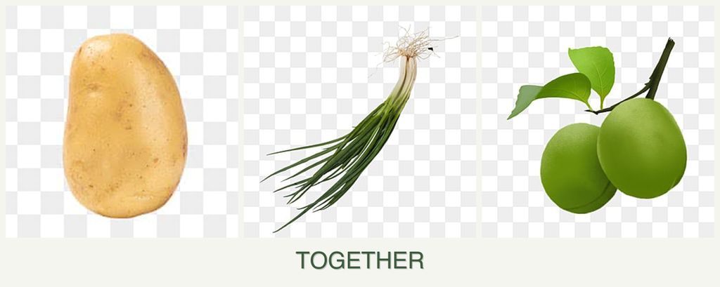 Can you plant potatoes, chives and plums together?