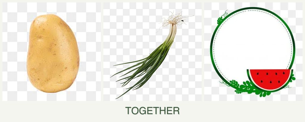 Can you plant potatoes, chives and watermelons together?