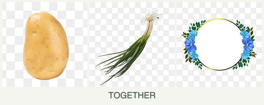 Can you plant potatoes, chives and zinnias together?