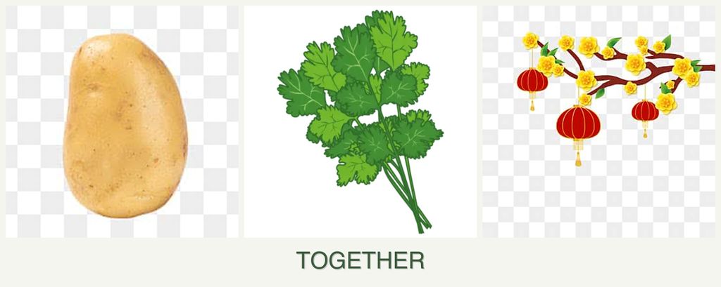 Can you plant potatoes, cilantro and apricots together?
