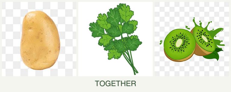 Can you plant potatoes, cilantro and kiwi together?