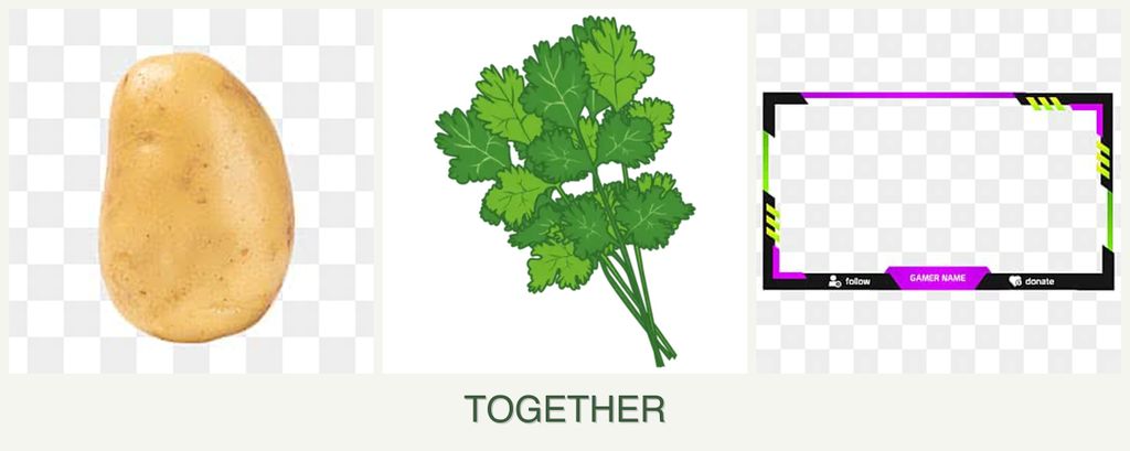 Can you plant potatoes, cilantro and limes together?