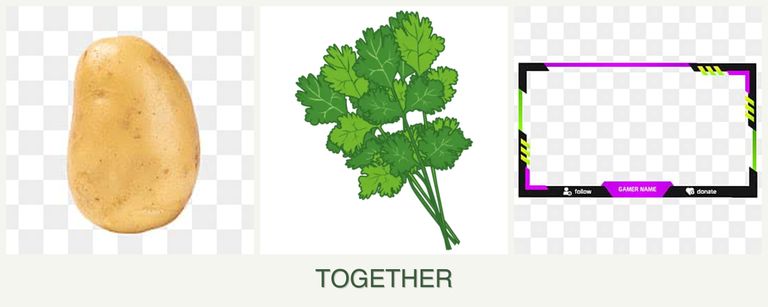 Can you plant potatoes, cilantro and limes together?