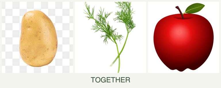 Can you plant potatoes, dill and apples together?