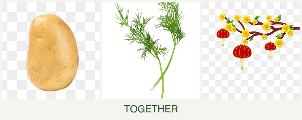 Can you plant potatoes, dill and apricots together?