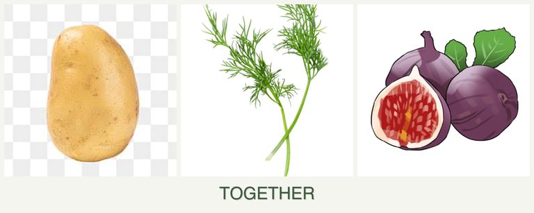 Can you plant potatoes, dill and figs together?
