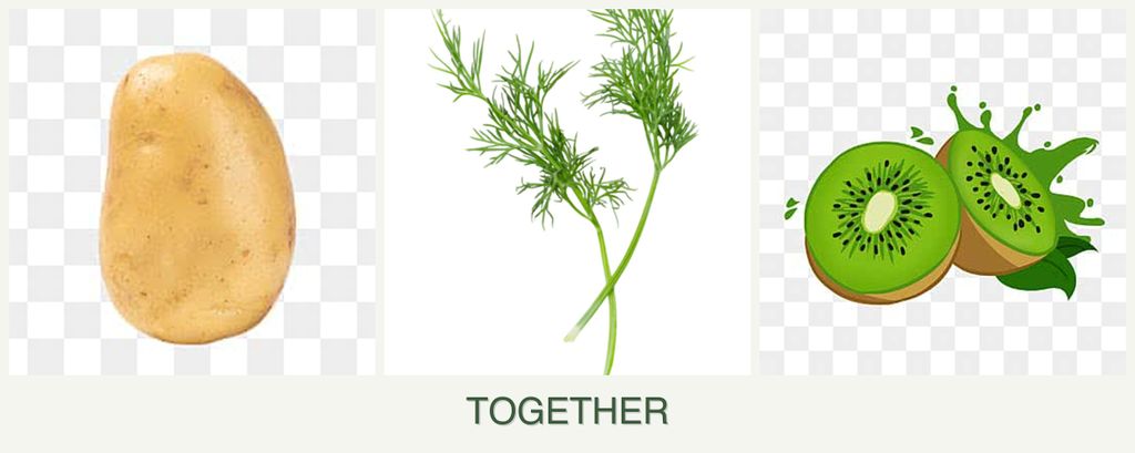 Can you plant potatoes, dill and kiwi together?