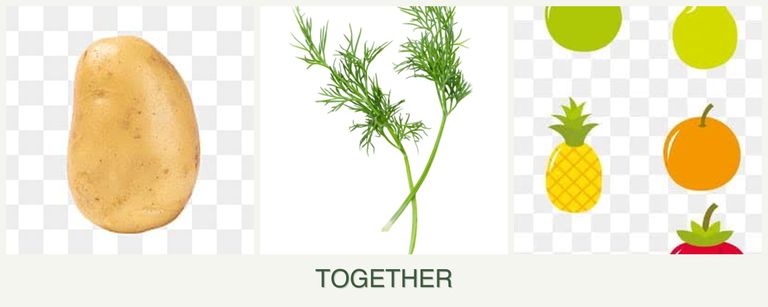 Can you plant potatoes, dill and pears together?