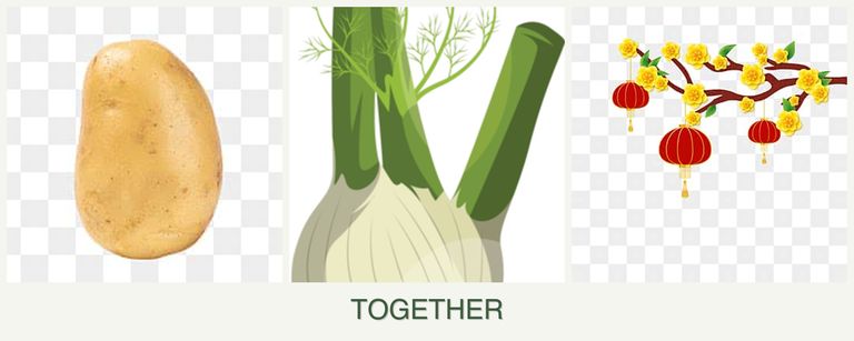Can you plant potatoes, fennel and apricots together?