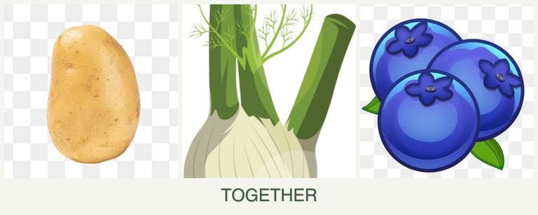 Can you plant potatoes, fennel and blueberries together?