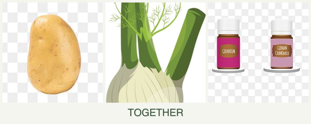Can you plant potatoes, fennel and geraniums together?