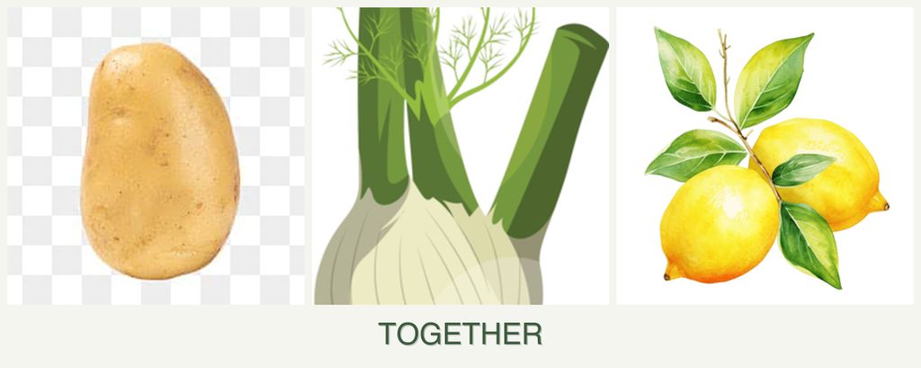 Can you plant potatoes, fennel and lemons together?