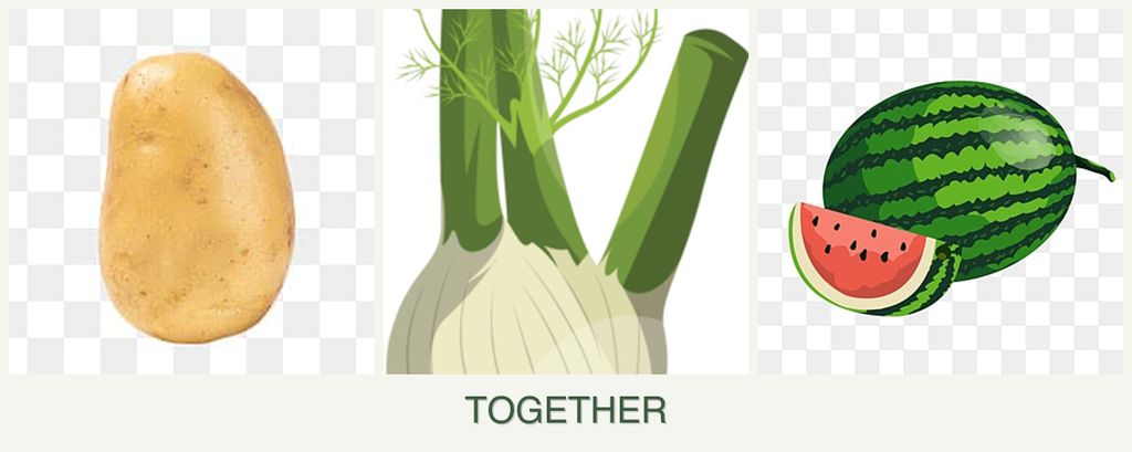 Can you plant potatoes, fennel and melons together?