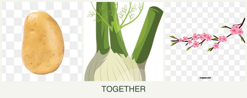 Can you plant potatoes, fennel and peaches together?